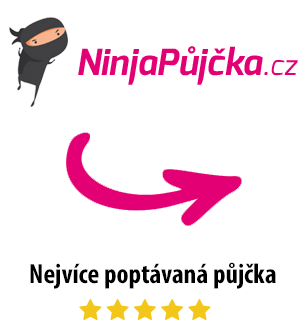 Půjčka společníka do společnosti účtování picture 7