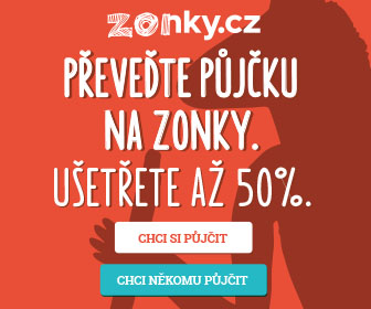 Půjčka do 1000 společnosti image 4